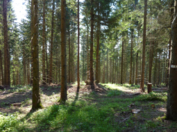 Photo9